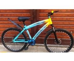 Goodwin 26” Cycle with Double Disc Brakes