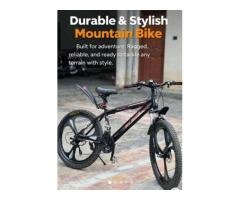 Sporty Mountain Bike (Black & Red)