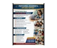 Professional Academic Writing Services