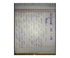 Professional Neat Handwriting Service