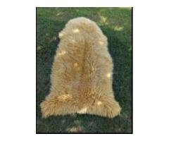 Natural Sheepskin Turkish Rugs
