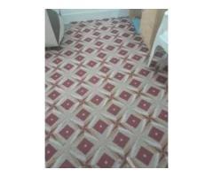 17x12 Carpet for Rs 16,000 – Spacious & Clean Deal!