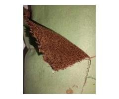 12x10 Dark Brown Carpet for Rs 25,000