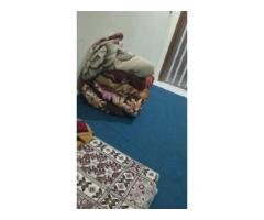 5 Carpets Set for Rs 5,000 – Multi-Color Budget Deal!