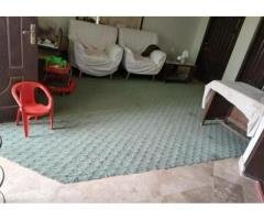 20x25 Green Lounge Carpet for Rs 7,000 – Spacious Deal!