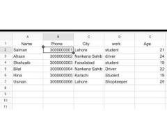 7-Star PDF to Excel Data Entry Services