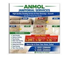 Professional Sofa, Carpet & Mattress Cleaning Services