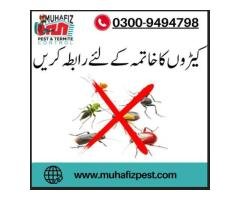 7 Best Fumigation Spray Services