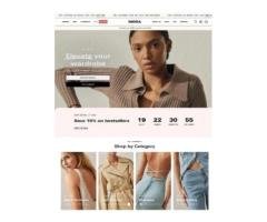 Affordable Ecommerce Website Developer