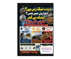 Expert Termite & Fumigation Services