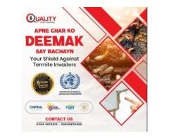 Expert Termite & Bed Bug Control Services