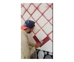 Affordable House Painter Services