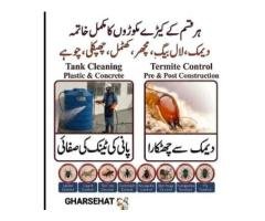 Expert Termite & Pest Control Services