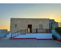 1 Luxury Beach Huts | Turtle Beach & Sandspit Stays