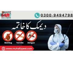 Control, Termite & Dengue Spray Services