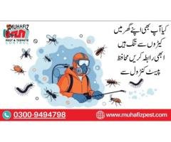 Fumigation & Termite Control Services
