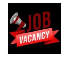 Part Time Job in Darra Adam Khel