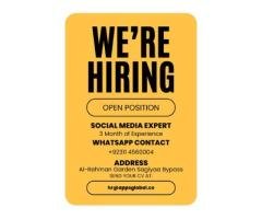 Social Media & Ecommerce Job