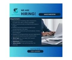 High-Impact Sales Executive Jobs