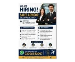 High-Paying Visa Consultancy Jobs