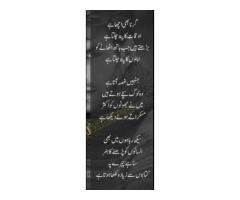 French Fries Karigar Job in Karachi
