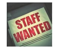 Urgent Fast Food Chef Job