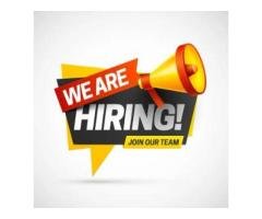 Experienced Home Cook Job