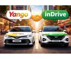 Driver – Car Rental in Karachi