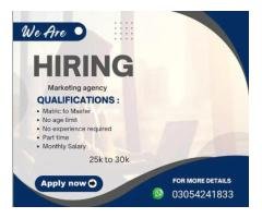Online & Office Jobs for Male and Female Staff