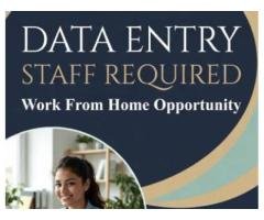 Data Entry Work From Home Jobs