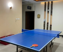 Table Tennis Table – New