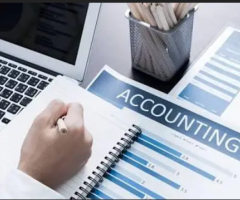 Assistant Accountant Job