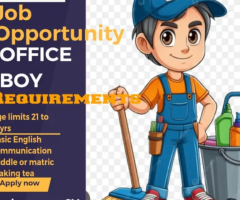 Office Boy Required