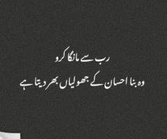 Computer Operator / IT Assistant Job Wanted