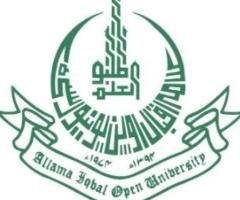 Assignment Work Without Investment