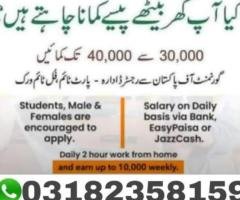 Online Work Opportunity