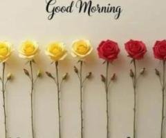 Female Staff Required