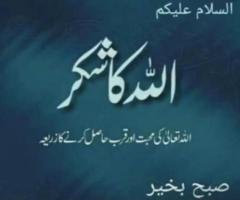 Experienced Salesman Available