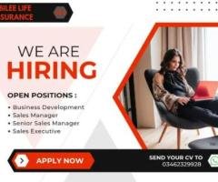 Job Opportunities for Executives
