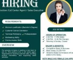 Call Center Agents Needed (UK Campaign)