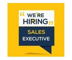 Sales Executive Jobs