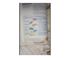 Home Tutor Needed for Grade 7