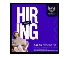 Female Sales Executives Wanted