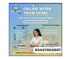 Work From Home: Data Entry, Assignment & Content Jobs