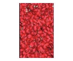 Experienced Home Cook Needed