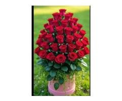 Part-Time Auditor & Accountant Required