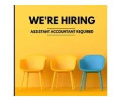 Assistant Accountant (Male)