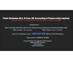 Accounts / Sales Assistant