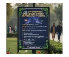 Sales Development Representative (SDR)