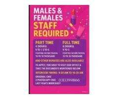 Hiring Male & Female Office Staff – Malir Halt, Karachi